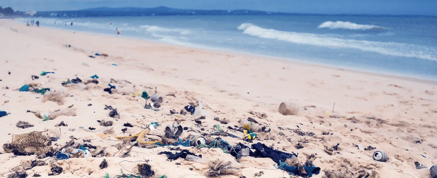 Sand beach filled with waste.