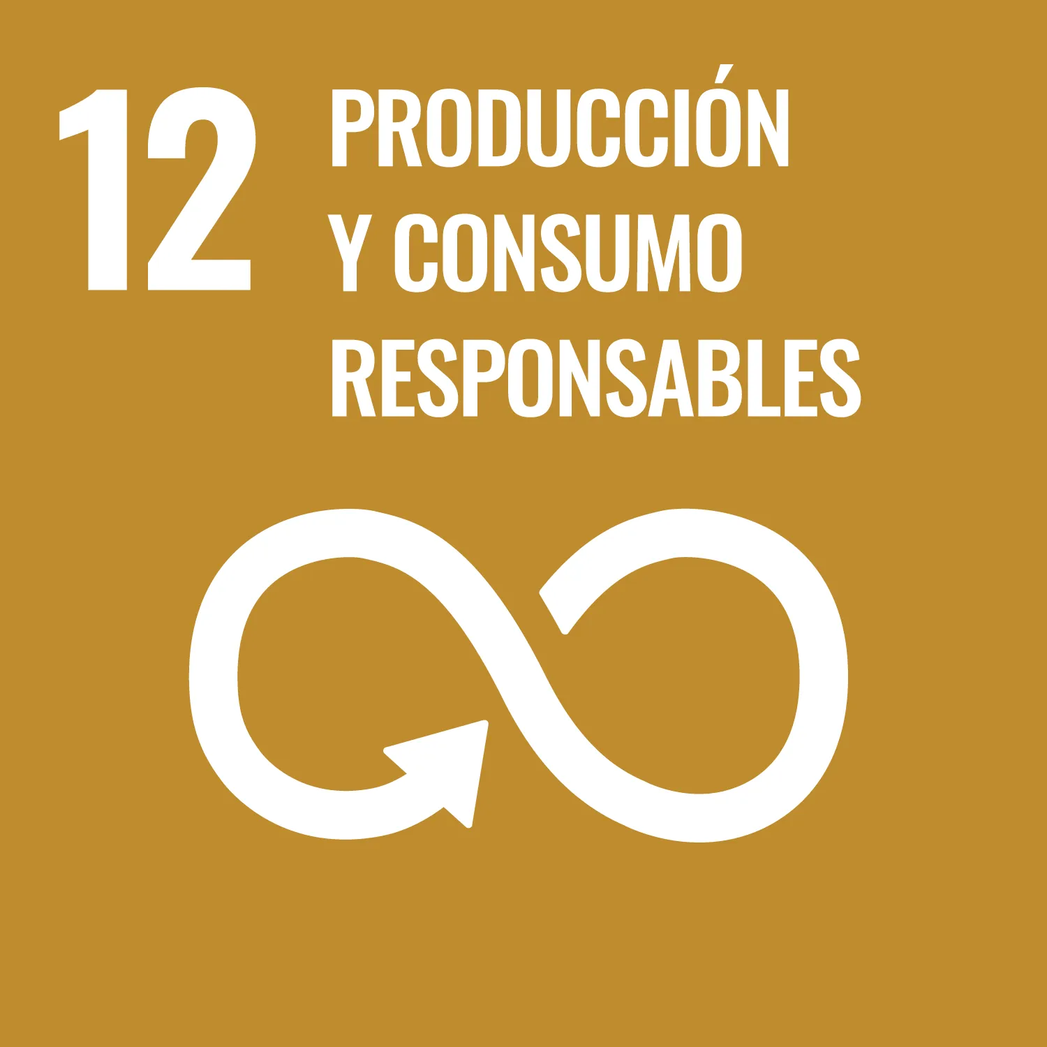 UN_SustainableDevGoals-12 1 (1)