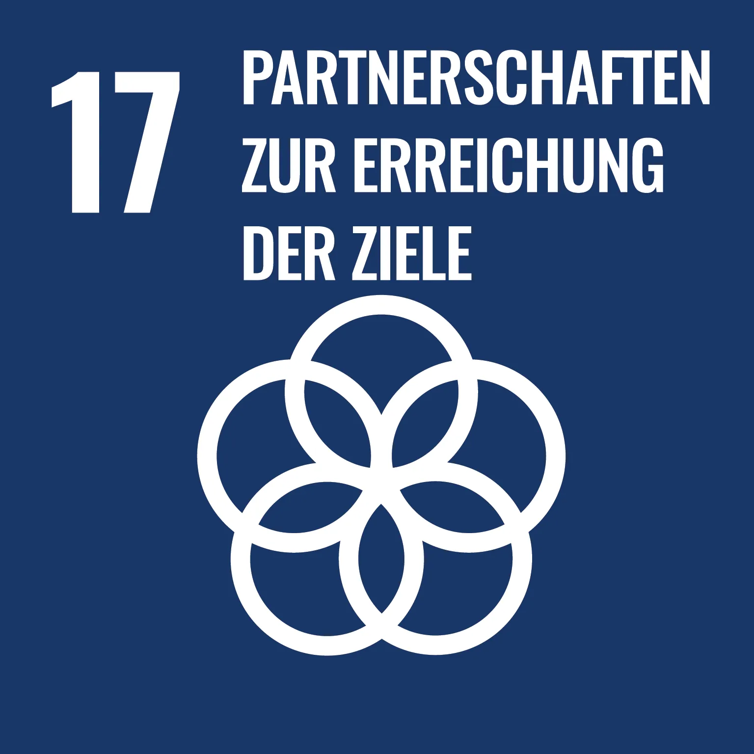 UN_SustainableDevGoals-17 1 (1)